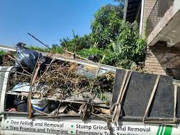 Retail Junk Removal in Americus, GA